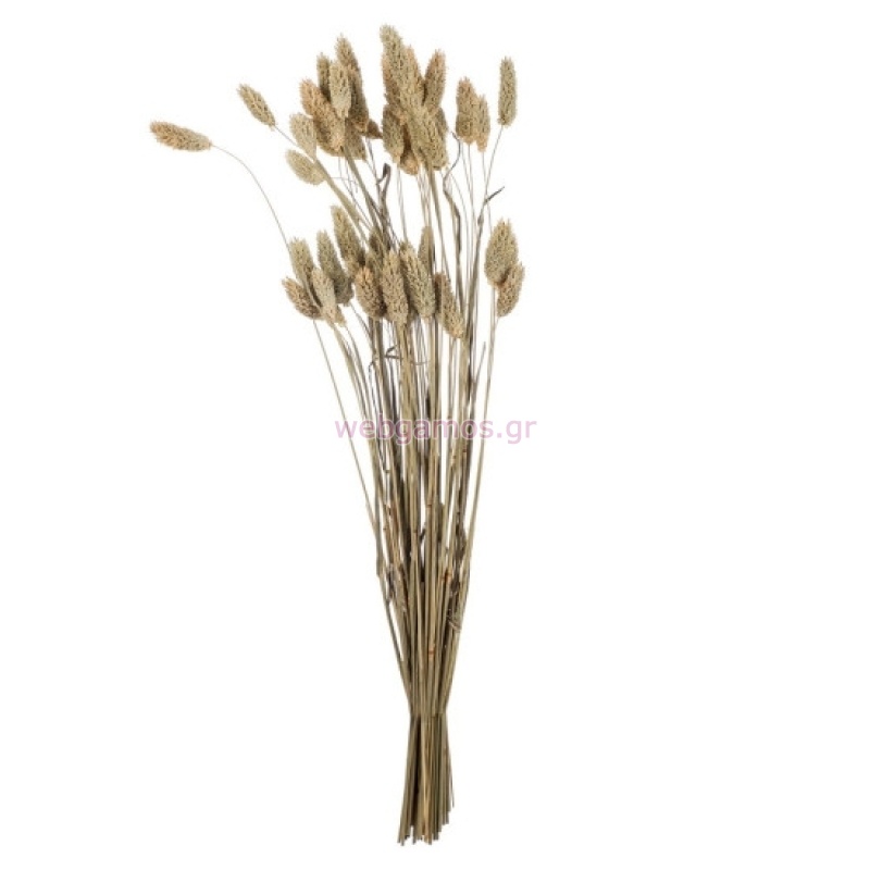 17631026476916cfb7d93dc