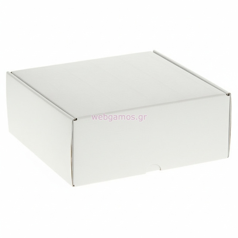 Κουτί Συσκευασίας ΝΒ104 27.5*24.5*10εκ