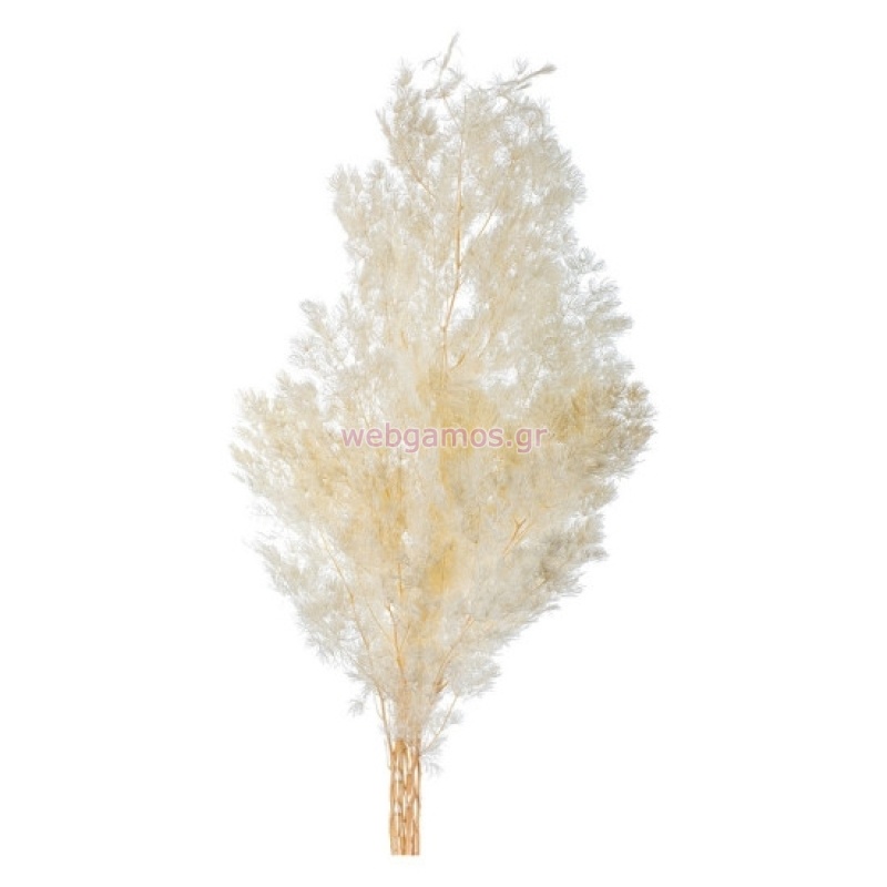 17671634376954c62d2532e