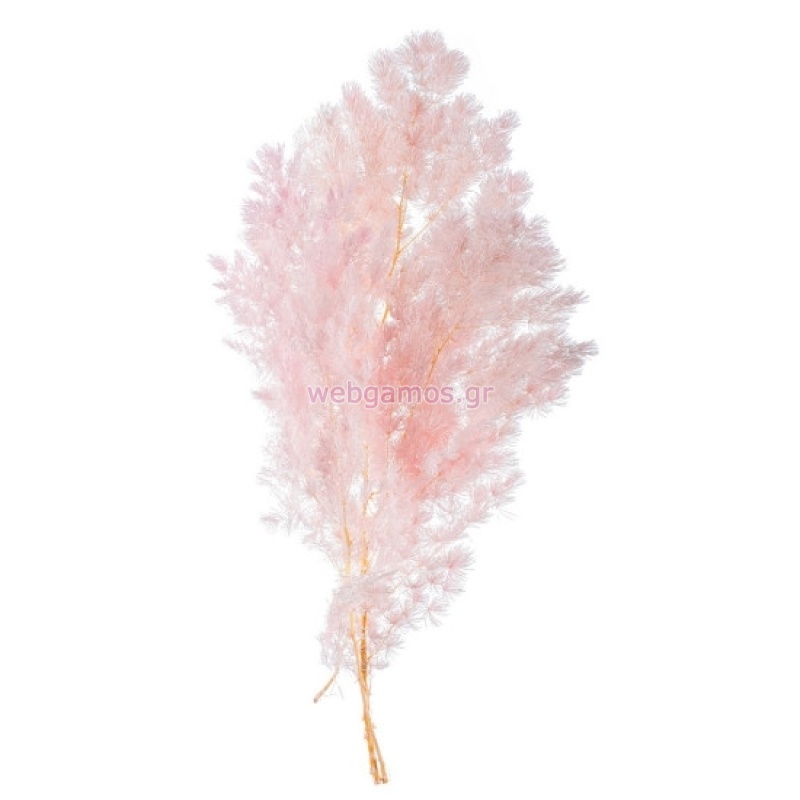 17671634406954c6304d344