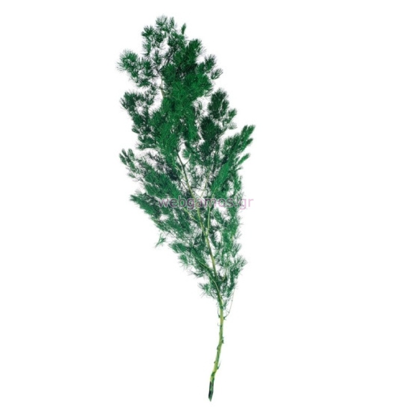 1767249852695617bc3e086