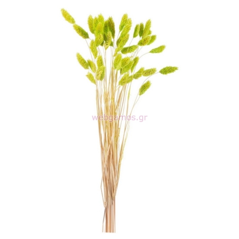 1767249862695617c6a3fd0