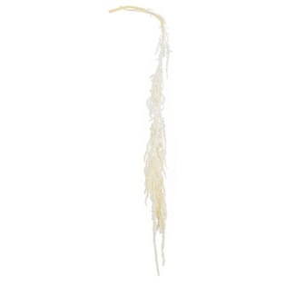 17812429566a2b9c4cee381