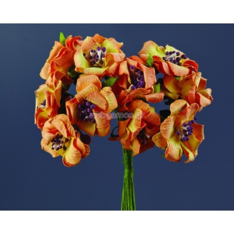 21851712732112-otherimage-550x550