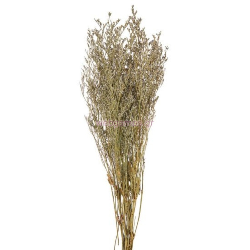 46801712731654-otherimage-550x550