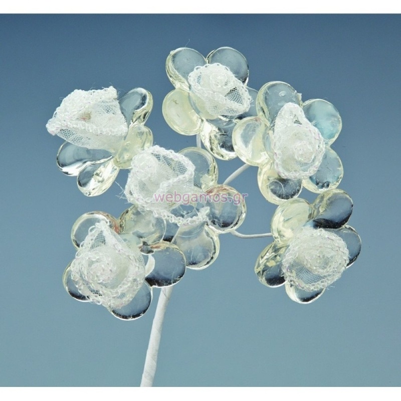 ΛΟΥΛΟΥΔΙ ARF1284