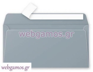 Φάκελος ασημί 11 x 22 εκ ( 3250075)