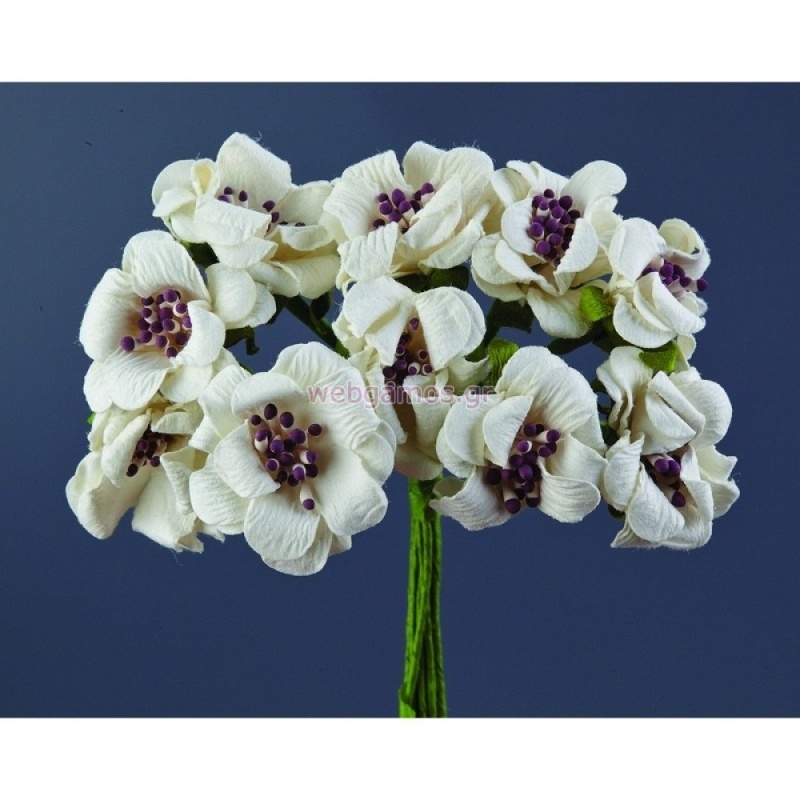 ΛΟΥΛΟΥΔΙ KWP25113