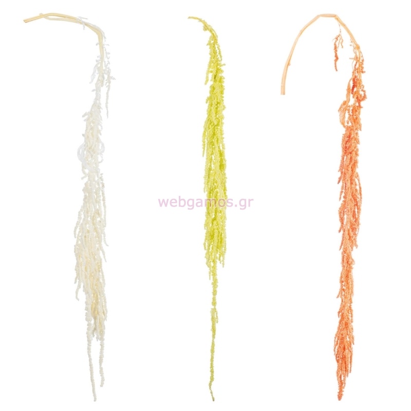 Αποξηραμένο HANGING RICE ΡΤ193