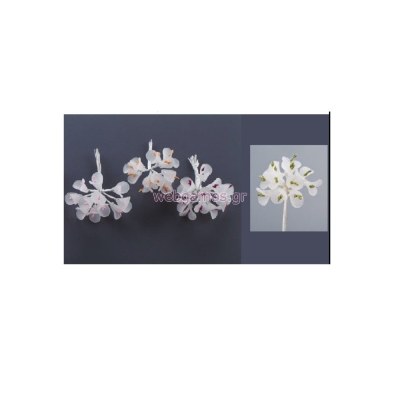 ΛΟΥΛΟΥΔΙ KSA38