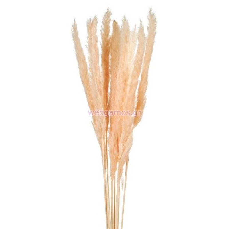 76751712731654-otherimage-550x550