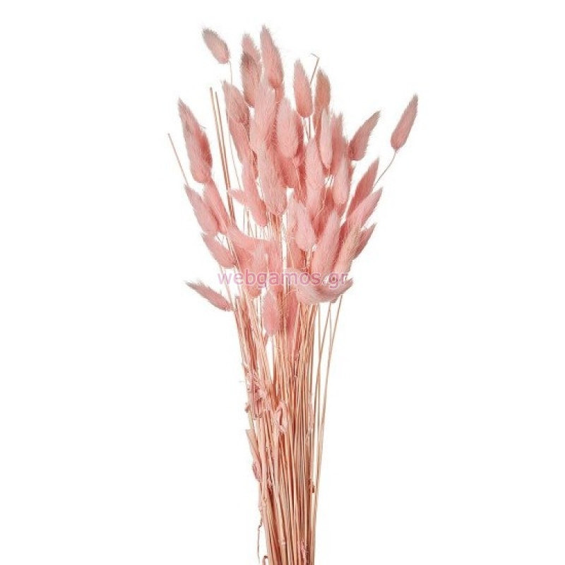 76881712731654-otherimage-550x550