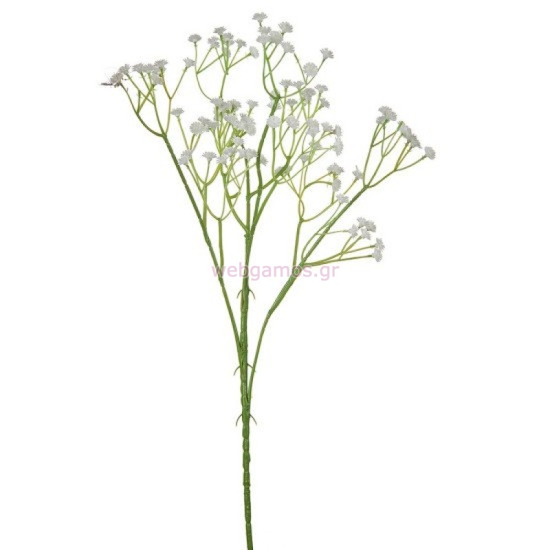 77281712732616-otherimage-550x550