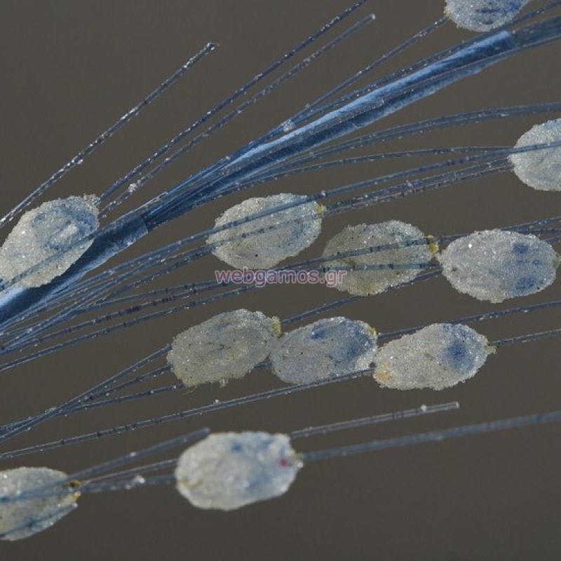 92941712731926-otherimage-550x550