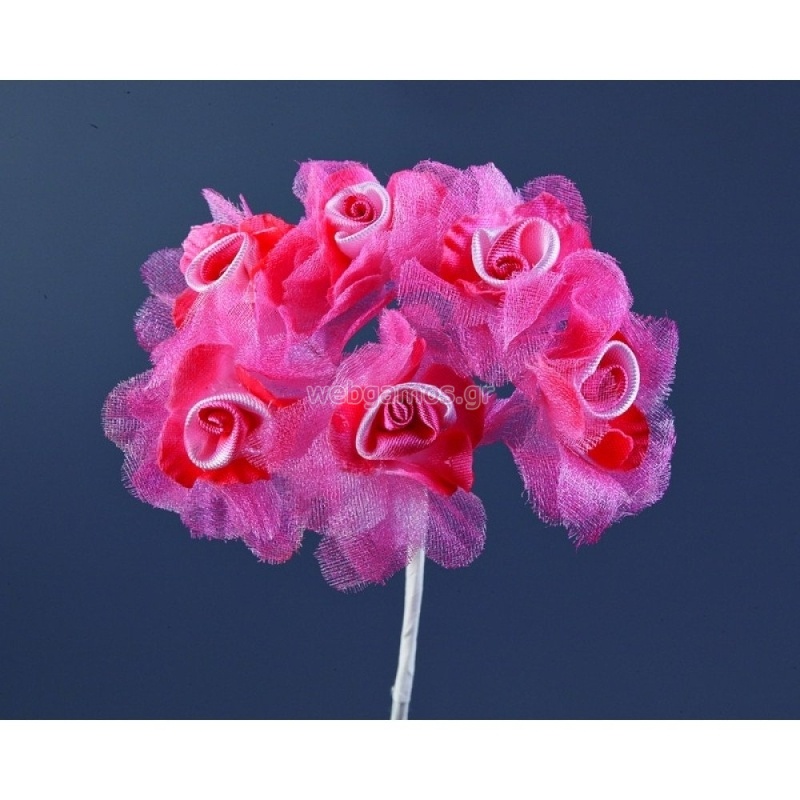 ΛΟΥΛΟΥΔΙ RSA176