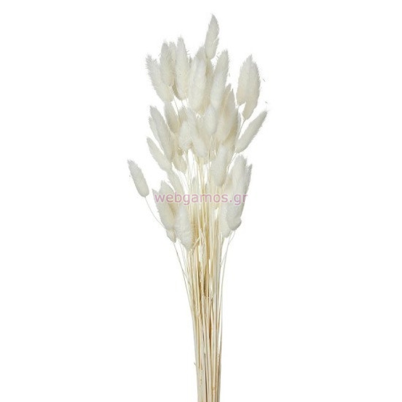 95491712731653-otherimage-550x550