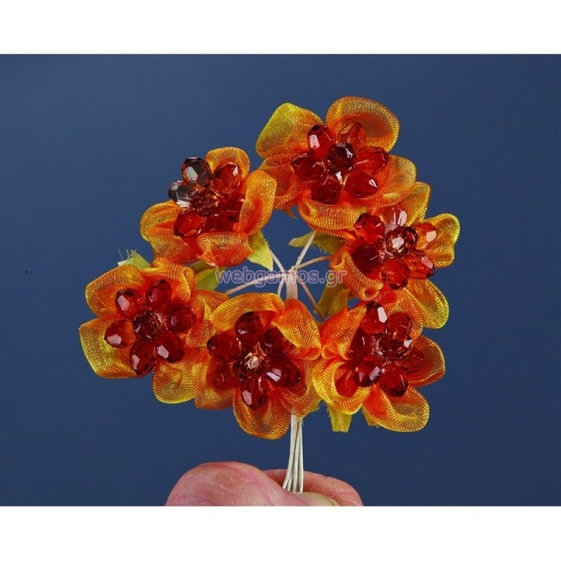 ΛΟΥΛΟΥΔΙ ΒΡΑ223