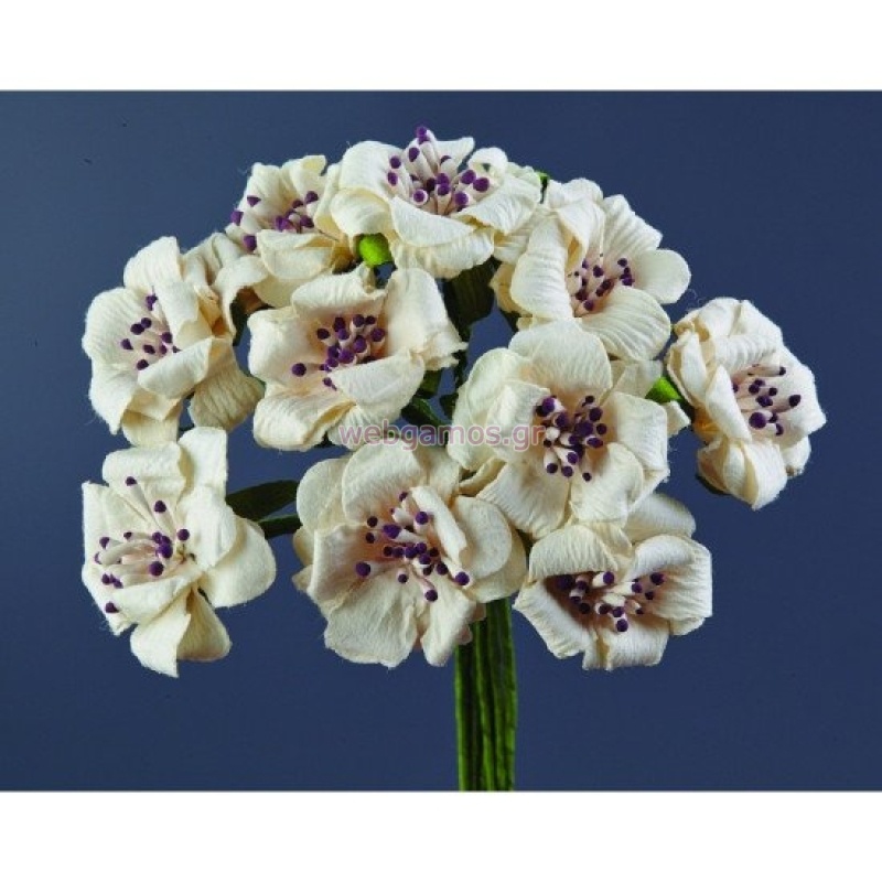 99511712732112-otherimage-550x550