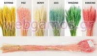 WHEAT 70cm 0516155
