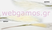 ΚΛΑΔΙ ΤΥΠΟΥ PAMPAS 120cm 0516190