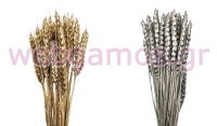 WHEAT 50cm 0516197