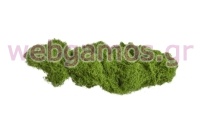 MOSS ΣΥΝΘΕΤΙΚΟ 500g 0516215