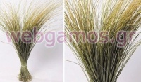 BEACH GRASS XL 120cm 0934500