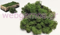 MOSS 500g 0967703