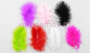 Πούπουλο Μικρό (0517492)