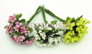 Σποράκι Χρωματιστό (0520074)