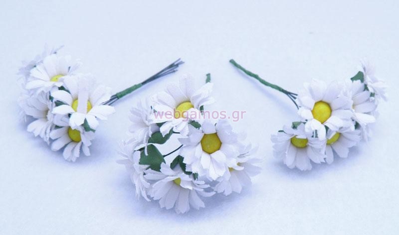 Λουλούδι Μαργαρίτα (0520086)