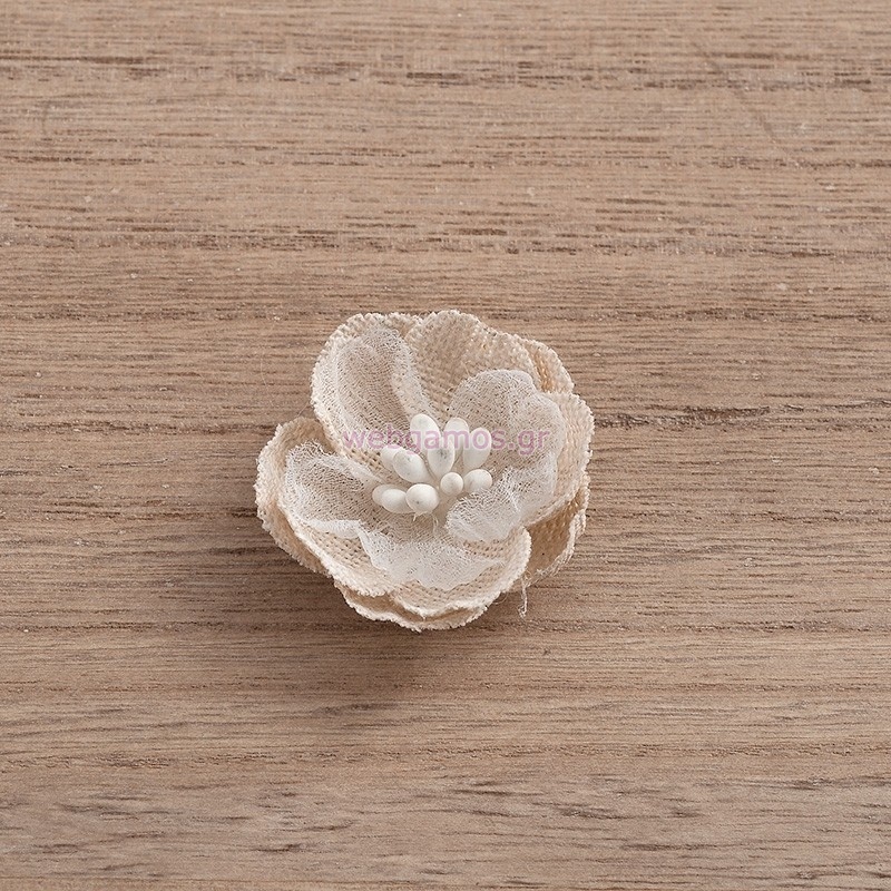 11041___20199.jpg